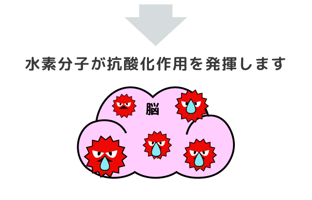 水素分子が抗酸化作用を発揮します