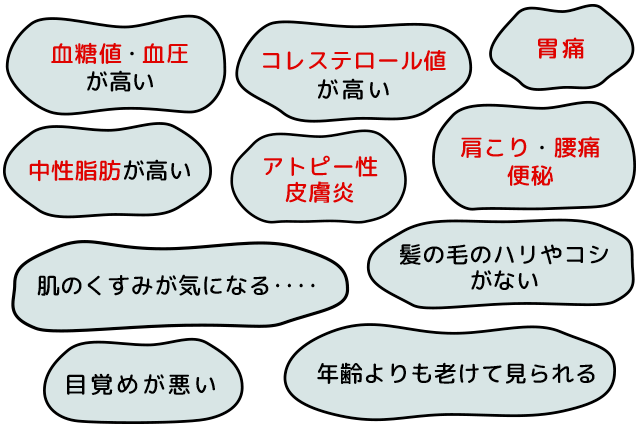 年齢よりも老けて見られる。シャッキとしない。髪の毛のハリやコシがない。肌荒れが。目覚めが悪い。肌のくすみがきになる。胃もたれがする