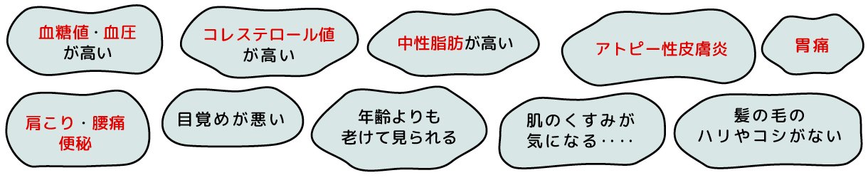 年齢よりも老けて見られる。シャッキとしない。髪の毛のハリやコシがない。肌荒れが。目覚めが悪い。肌のくすみがきになる。胃もたれがする